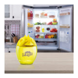 Refrigerator freshener, 40g