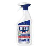Professionaalne desinfektsioonivahend katlakivi, 750 ml