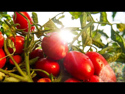 Köögiviljakastme kontsentraat Le Verdurine, 130g